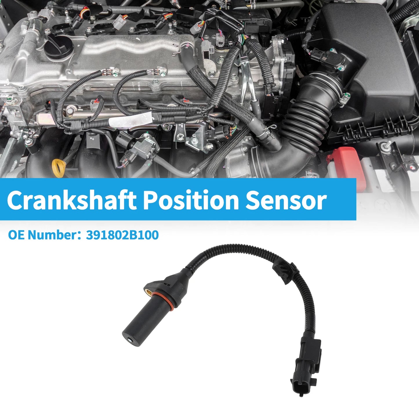 Crankshaft Position Sensor for Hyundai Veloster 1.6 GDI (2011–2017) No. 39180-2B100