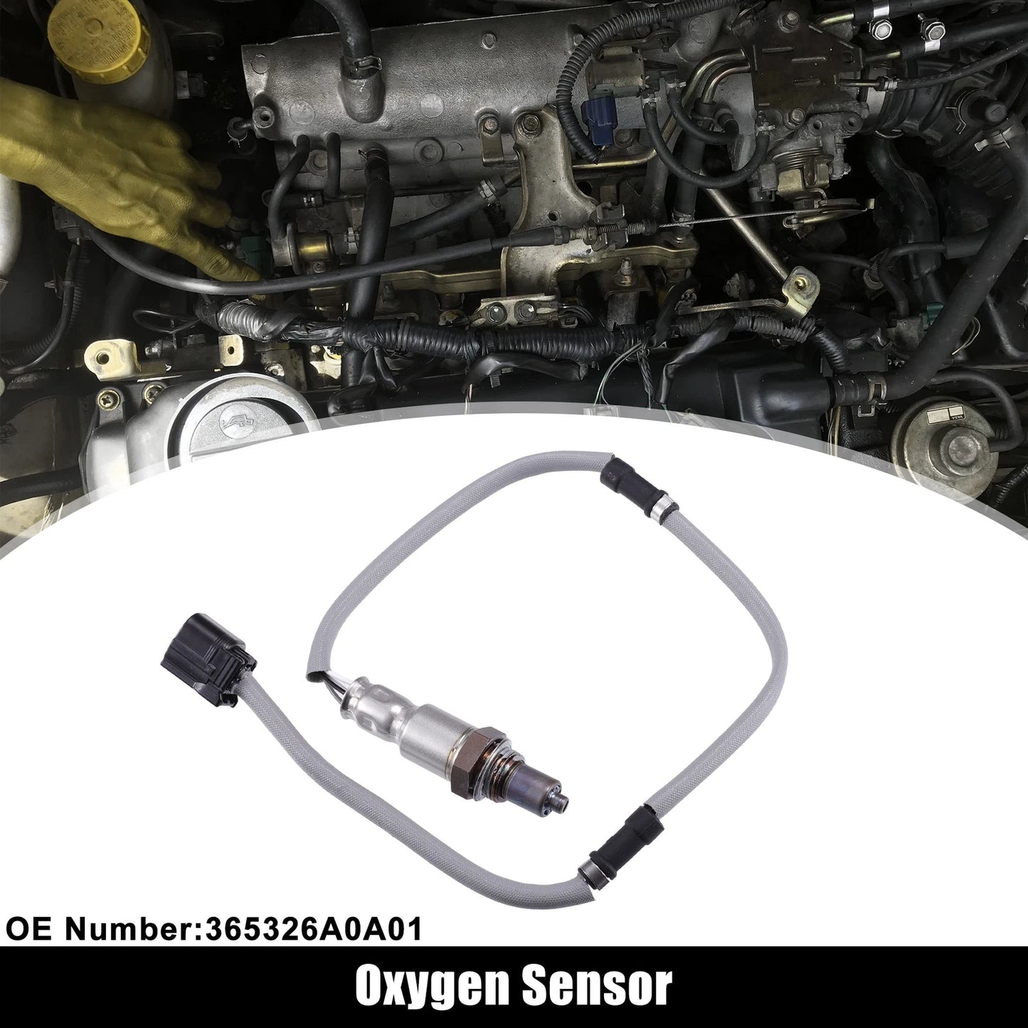 Oxygen Sensor No.365326A0A01 for Honda Accord (2018–2020) Air Fuel Ratio
