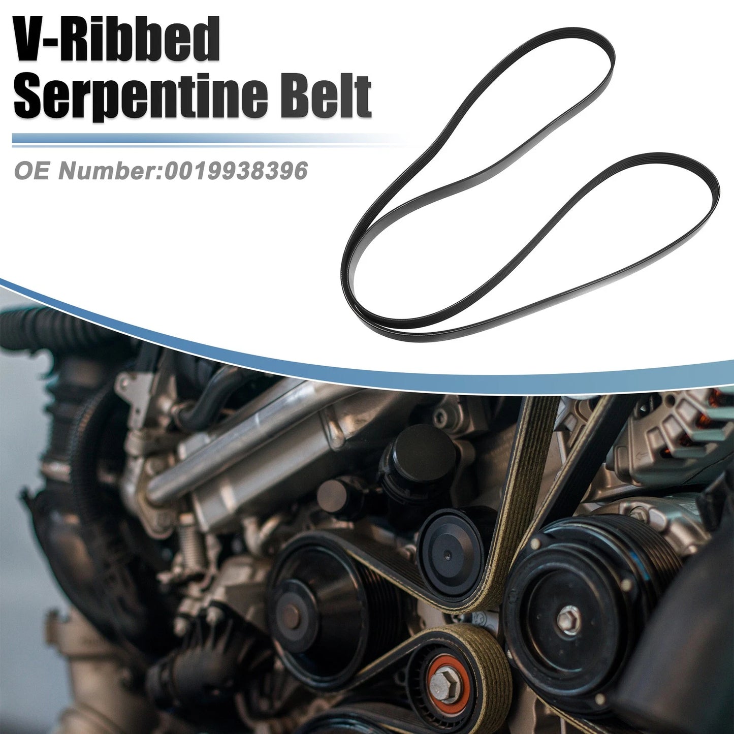 V-Ribbed Serpentine Drive Belt for Buick Enclave (2013–2017) No.0019938396