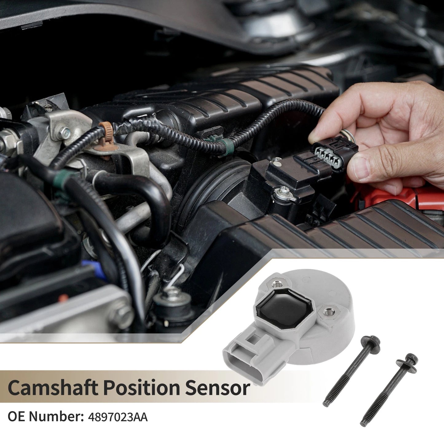Camshaft Position Sensor No.4897023AA for Jeep Grand Cherokee (1999–2004)