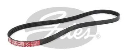 Drive Belt for Gates (4PK955)