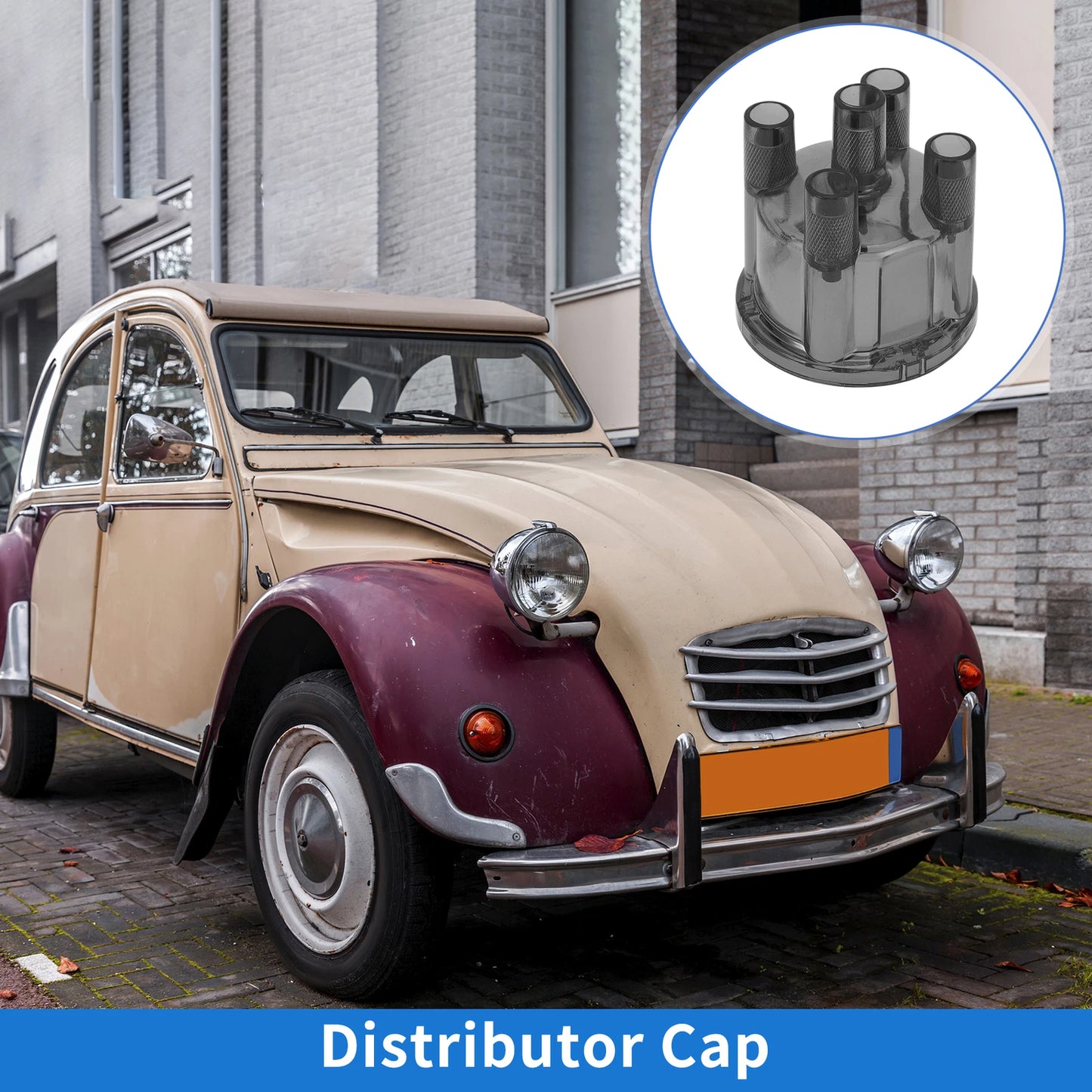 Distributor Cap for VW Bus Ghia Buggy (1968–1979)