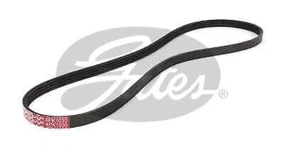 Drive Belt for Gates (4PK1030)