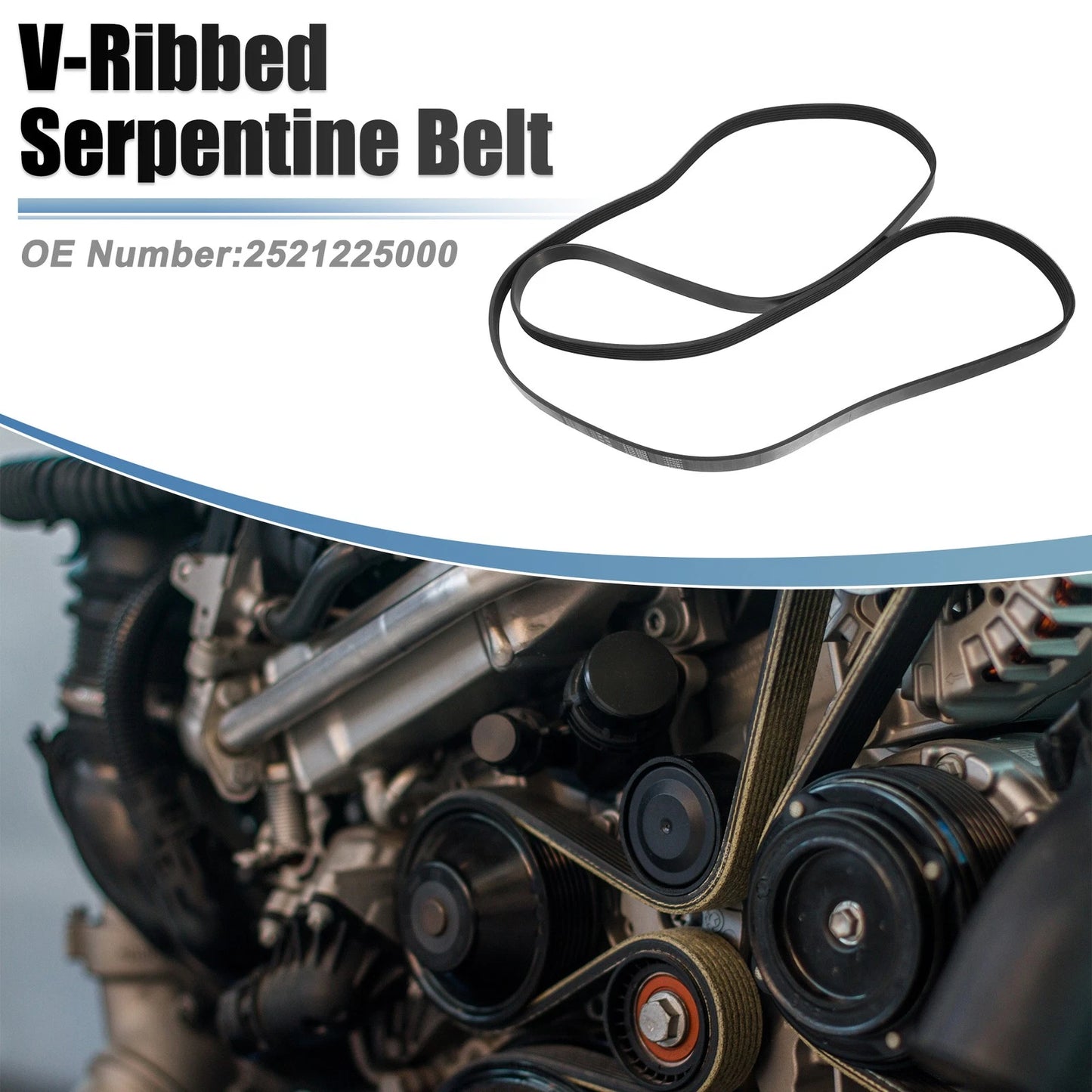 V-Ribbed Serpentine Drive Belt for Ford Mustang (2006–2010) No. 2521225000