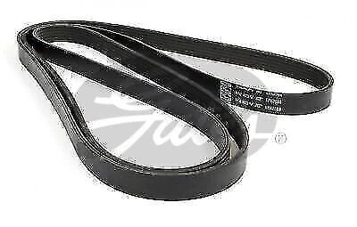 Drive Belt for Gates 6PK2580 (Fan Belt) (2010–2020)
