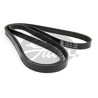 Drive Belt for Gates 6PK2335 (Fan Belt) (2000–2023)