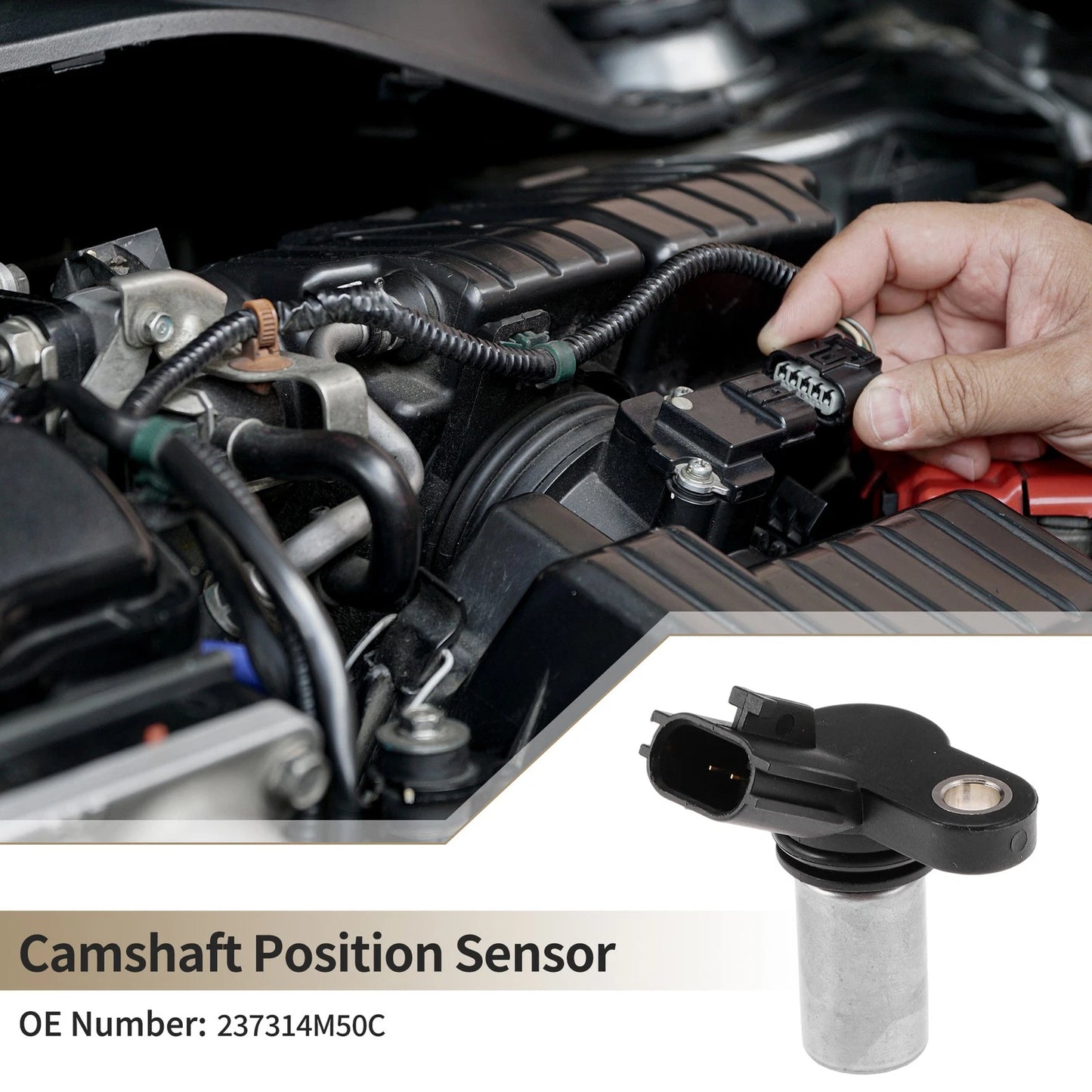 Camshaft Position Sensor No.237314M50C for Nissan Armada (2005–2015)