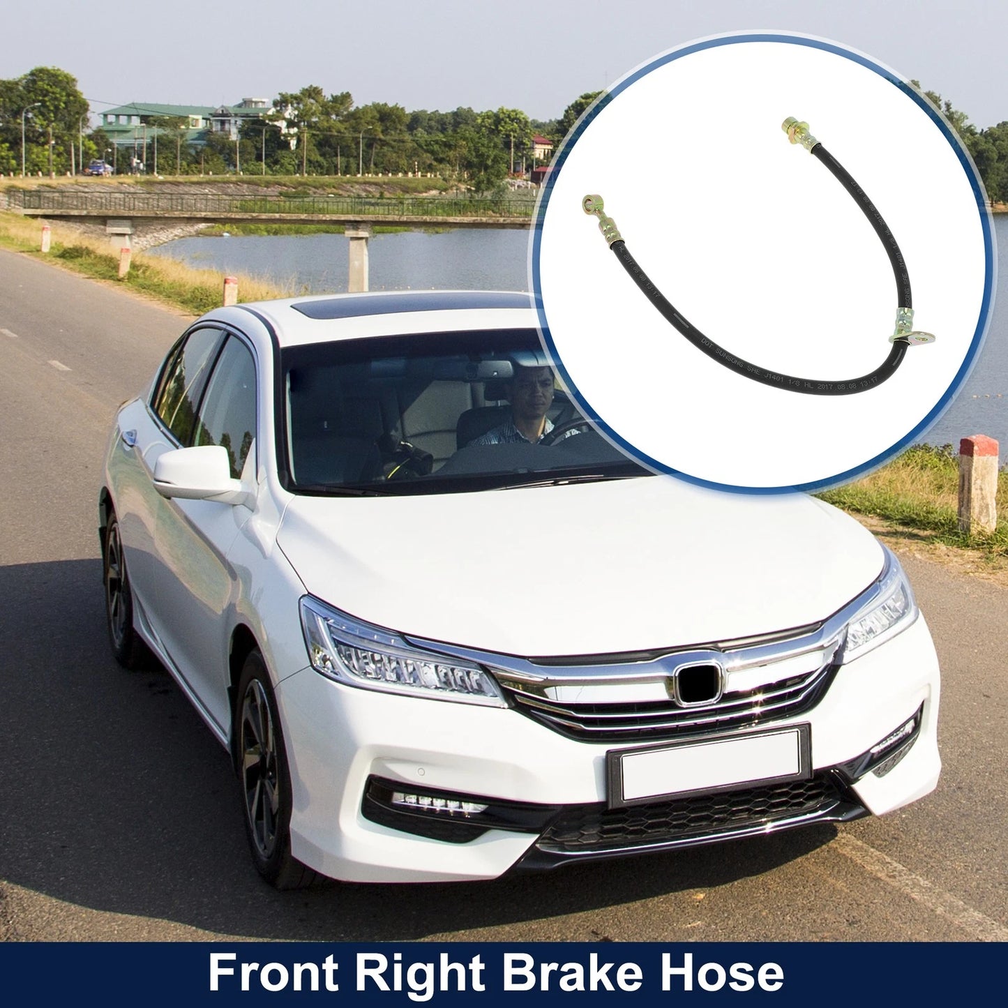 Front Right Brake Hose for Honda Accord (No. 01464TS6H01)