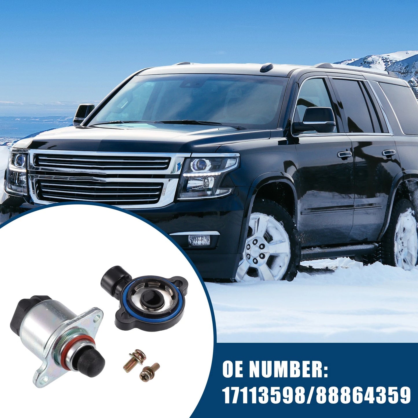 Idle Air Control Valve for Chevrolet Avalanche 1500 (2002) - 17113598