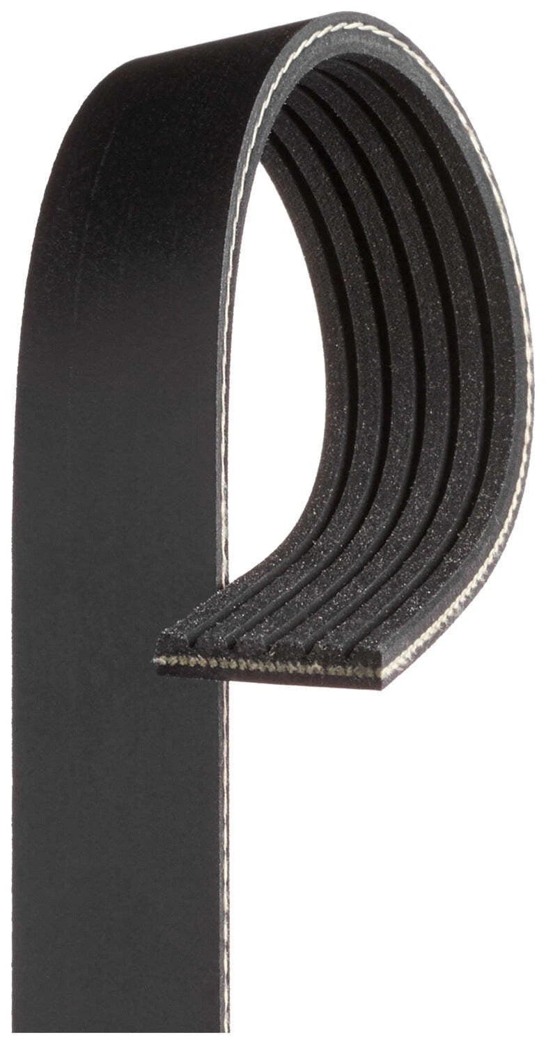 Drive Belt for Gates 6PK1040 (Fan Belt) (2010–2020)