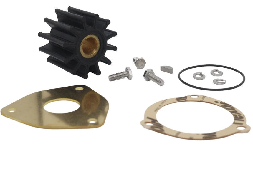 Minor Repair Kit for Sherwood Pump (GC1, GC4, GC5)