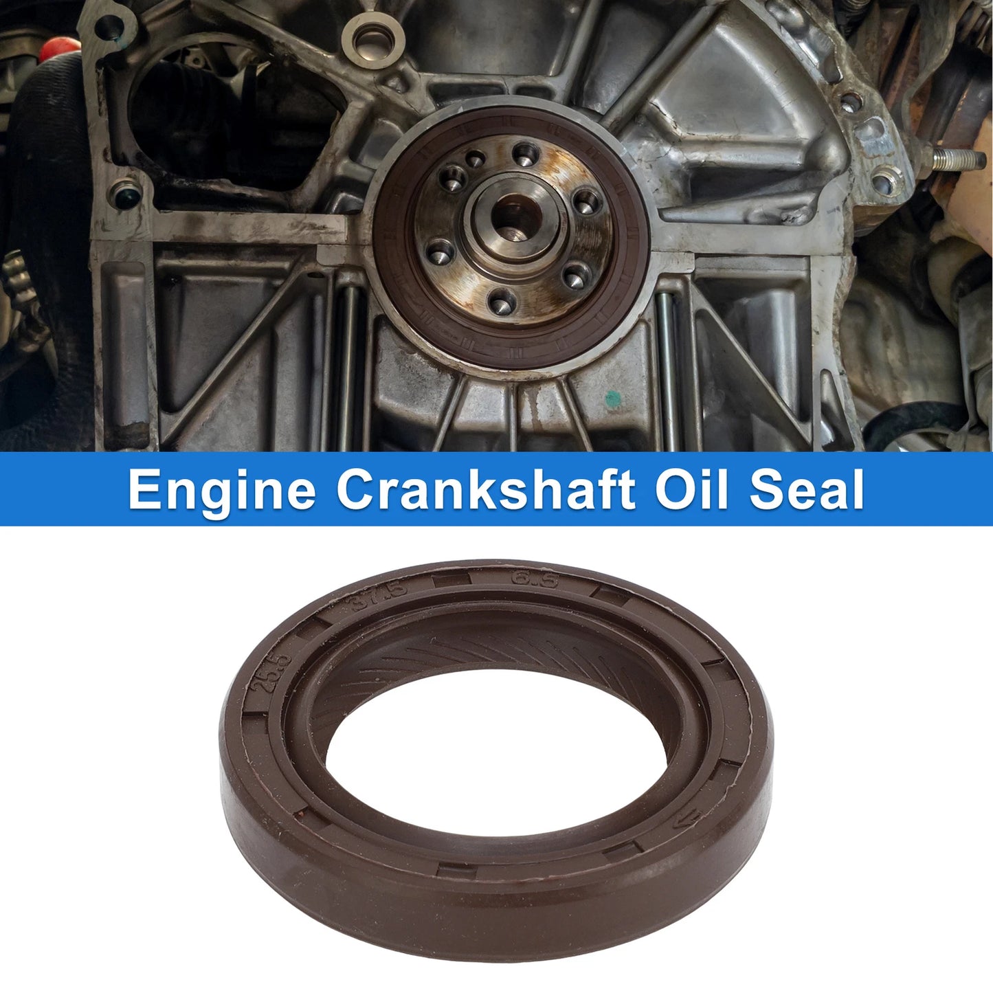 Front Crankshaft Oil Seal for Toyota Echo Prius (2000–2009) No. 90311-25021
