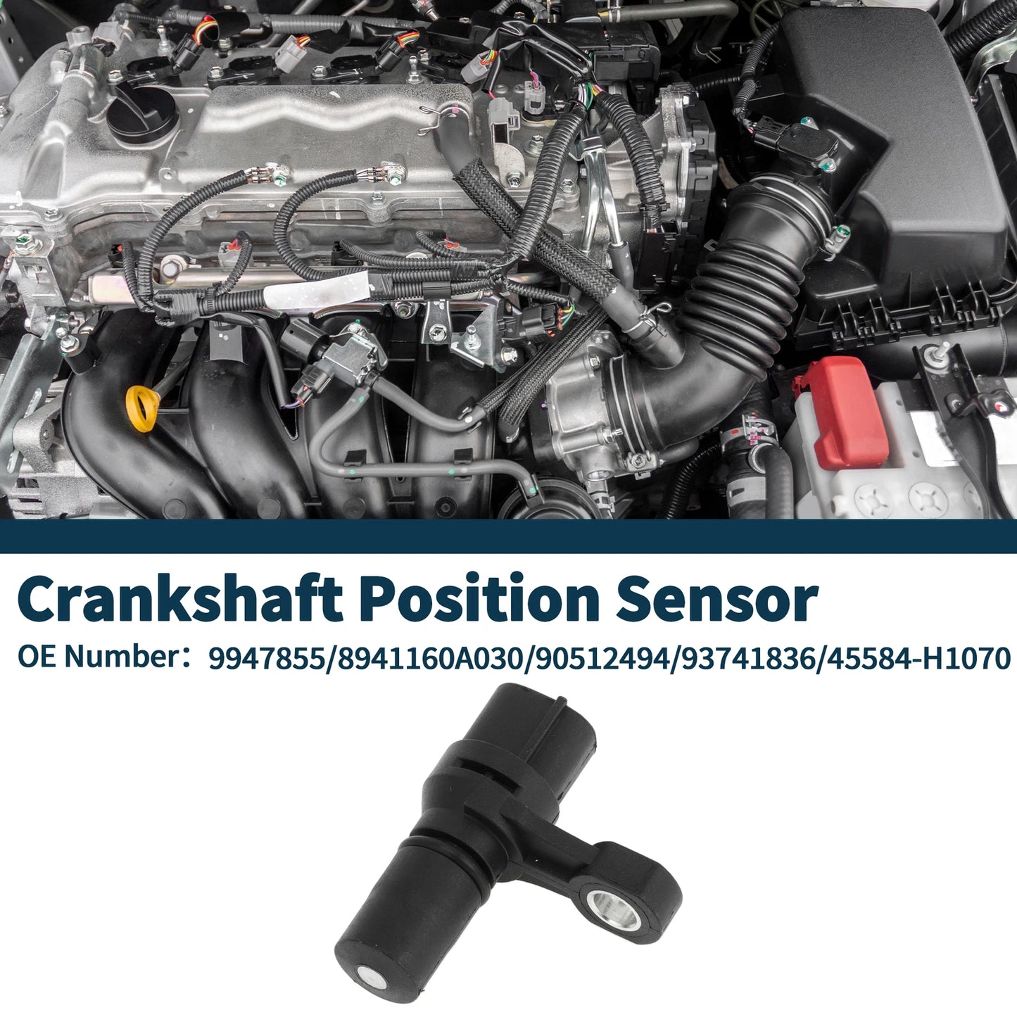 Crankshaft Position Sensor for Hyundai Terracan (2001–2006) No. 9947855