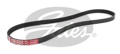 Drive Belt
