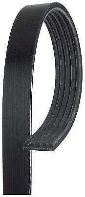 Drive Belt for Gates (5PK1645)