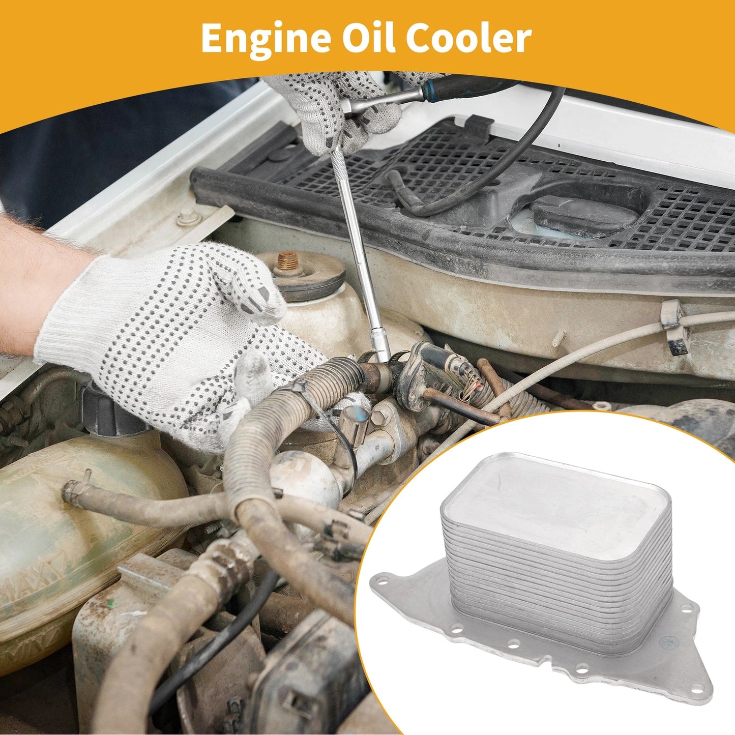 Engine Oil Cooler for BMW X1, Mini Cooper (No. 11428585236) 1 Pc