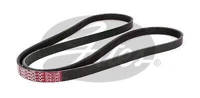 Drive Belt for Gates (5PK1545)