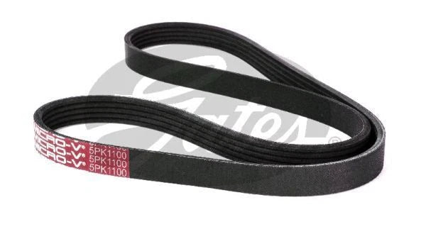 Drive Belt for Gates (5PK1100)
