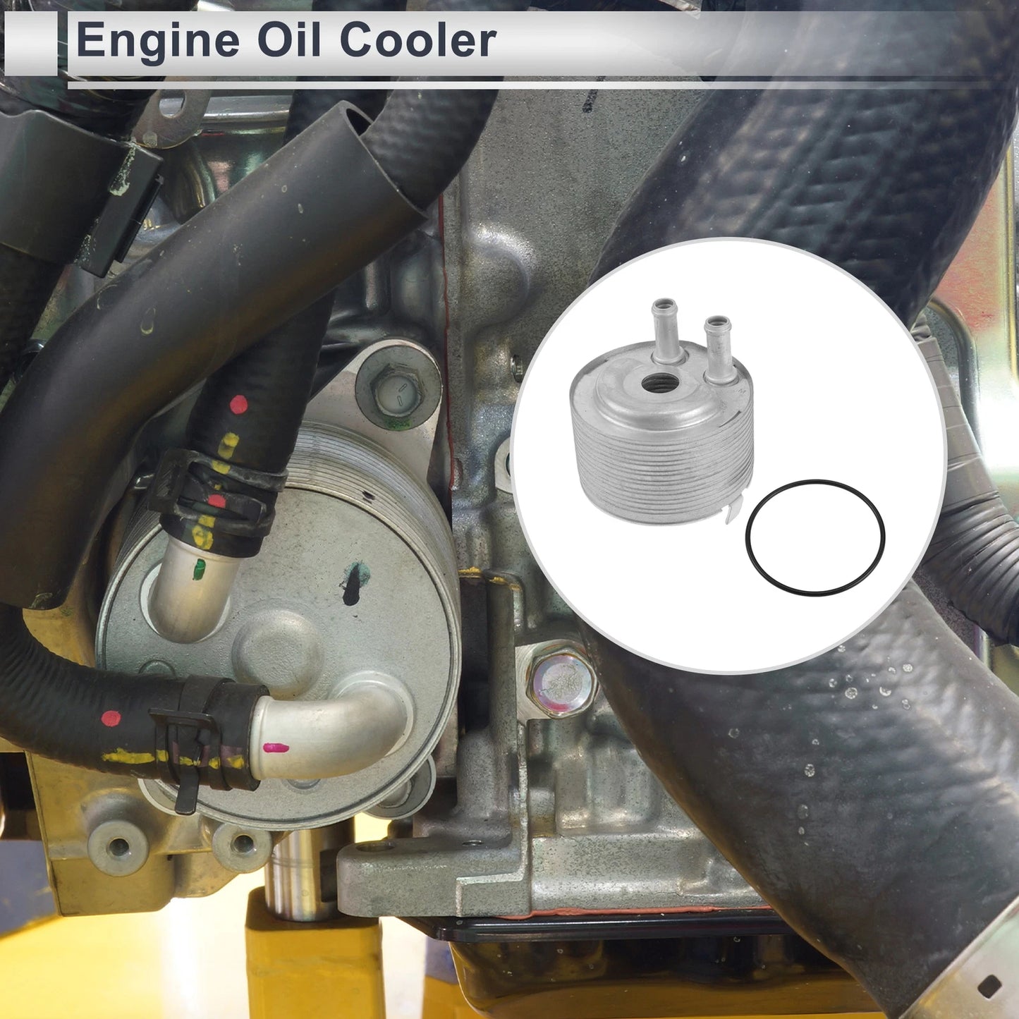 Engine Oil Cooler for Nissan (2000–2006) No. 21305EB300, Set with O-ring Seals