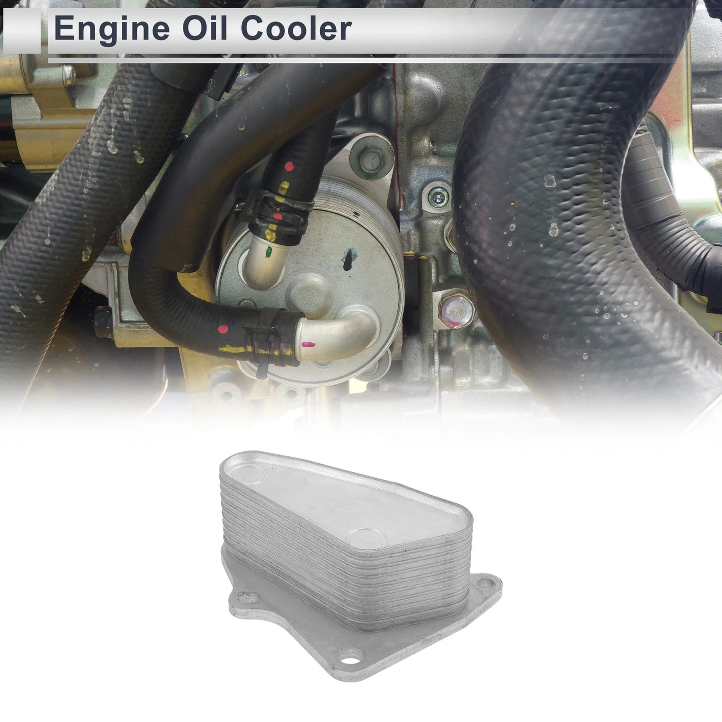Engine Oil Cooler for Chevrolet Malibu (2016–2022) No. 12678774, 1 Pc