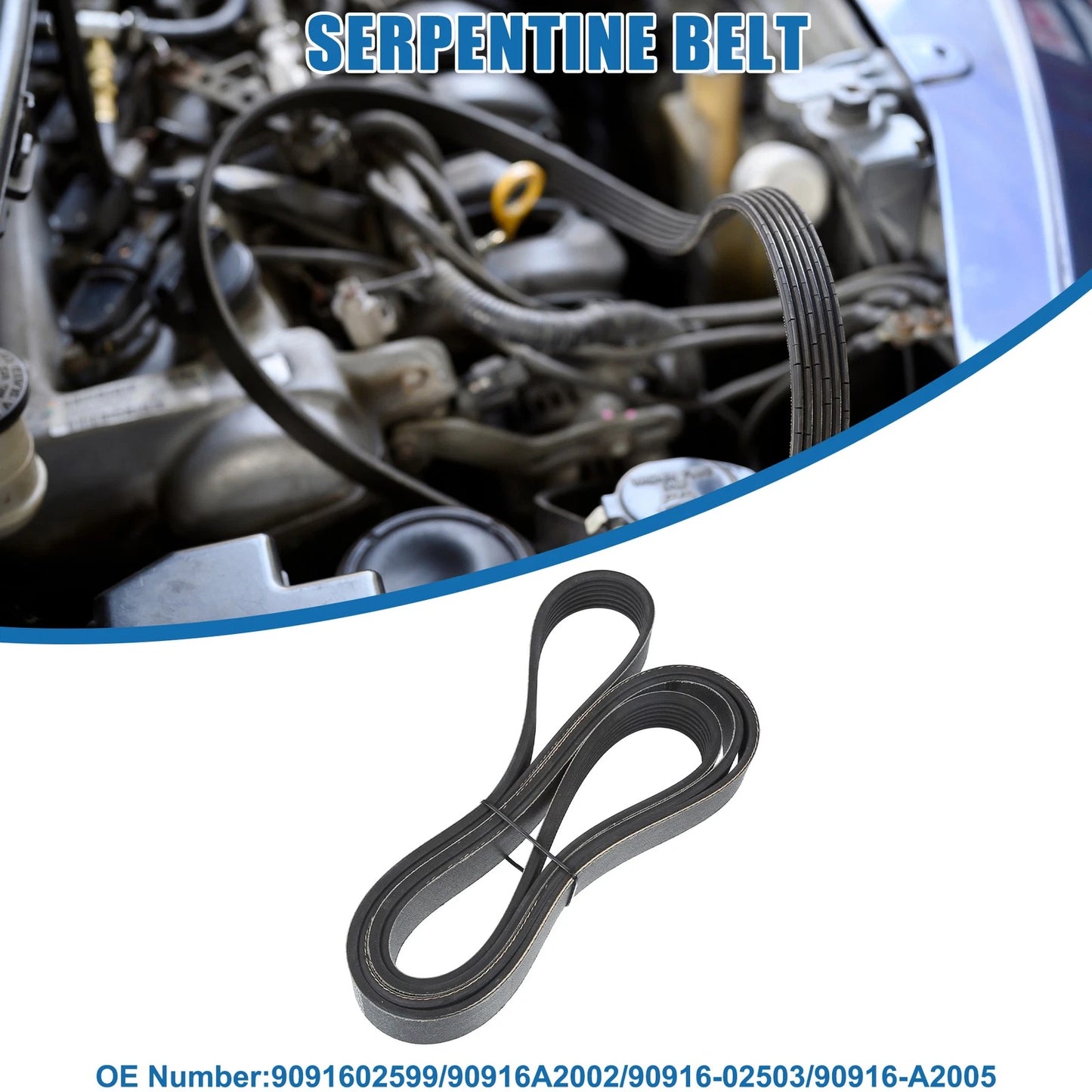 Serpentine V-Ribbed Belt No. 9091602599 for Scion TC 2.4L L4 (2005–2006)