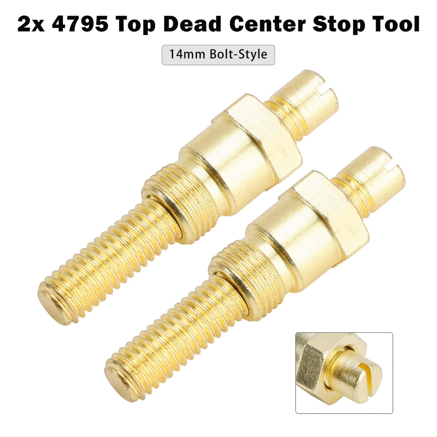 Pair of motorcycle license plate screws and nuts for custom applications