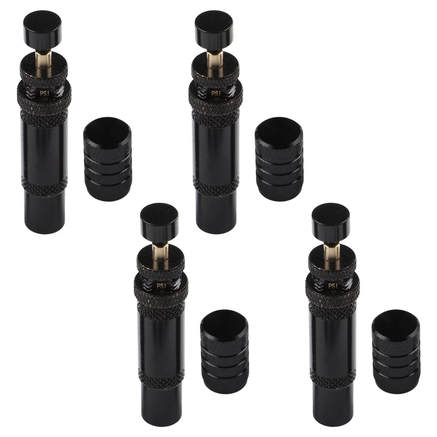 Tire Deflator / 10 PSI / Flexible Pressure Adjustment for Cars