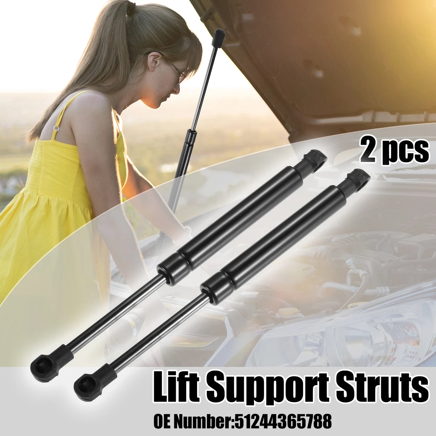 2pcs Rear Tailgate Lift Support Gas Struts for BMW 325i (2006)