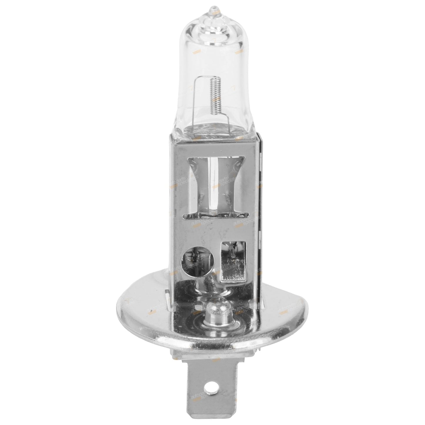 Halogen Bulb H1 for Motorchamp (12V 100W)
