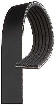 Drive Belt for Gates (6PK1870)