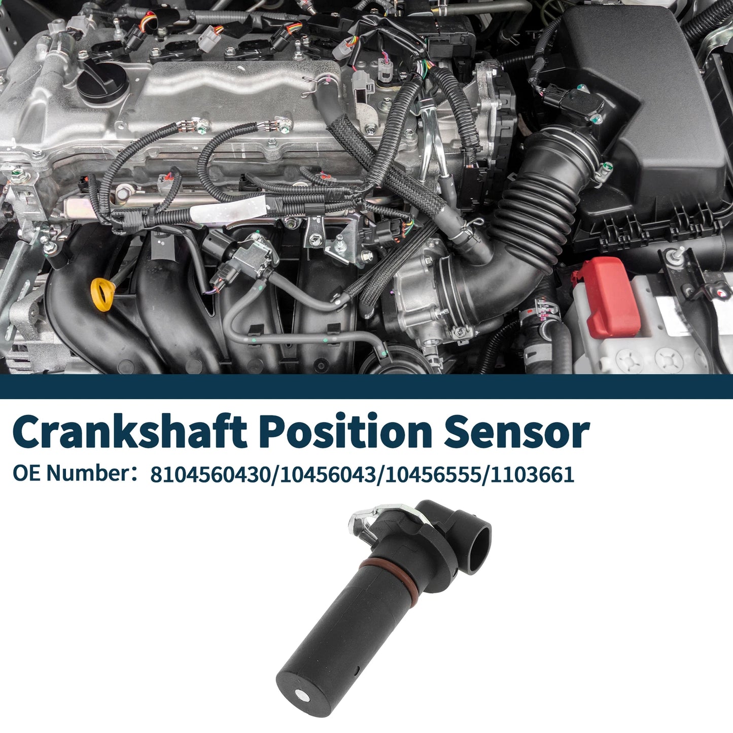 Crankshaft Position Sensor for Chevrolet Impala (2000–2005) No. 8104560430