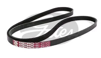 Drive Belt for Gates (4PK1245)