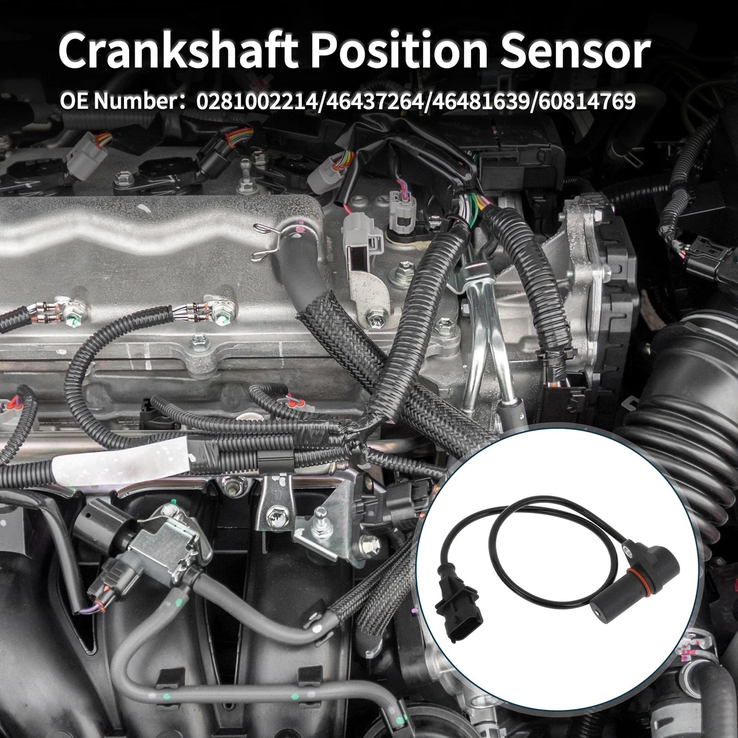 Crankshaft Position Sensor for CHEVROLET Colorado 2.8D (2005-2012) 1 x Pc