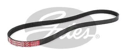 Drive Belt for Gates (4PK835)