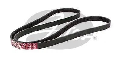 Drive Belt for Gates (5PK1810)