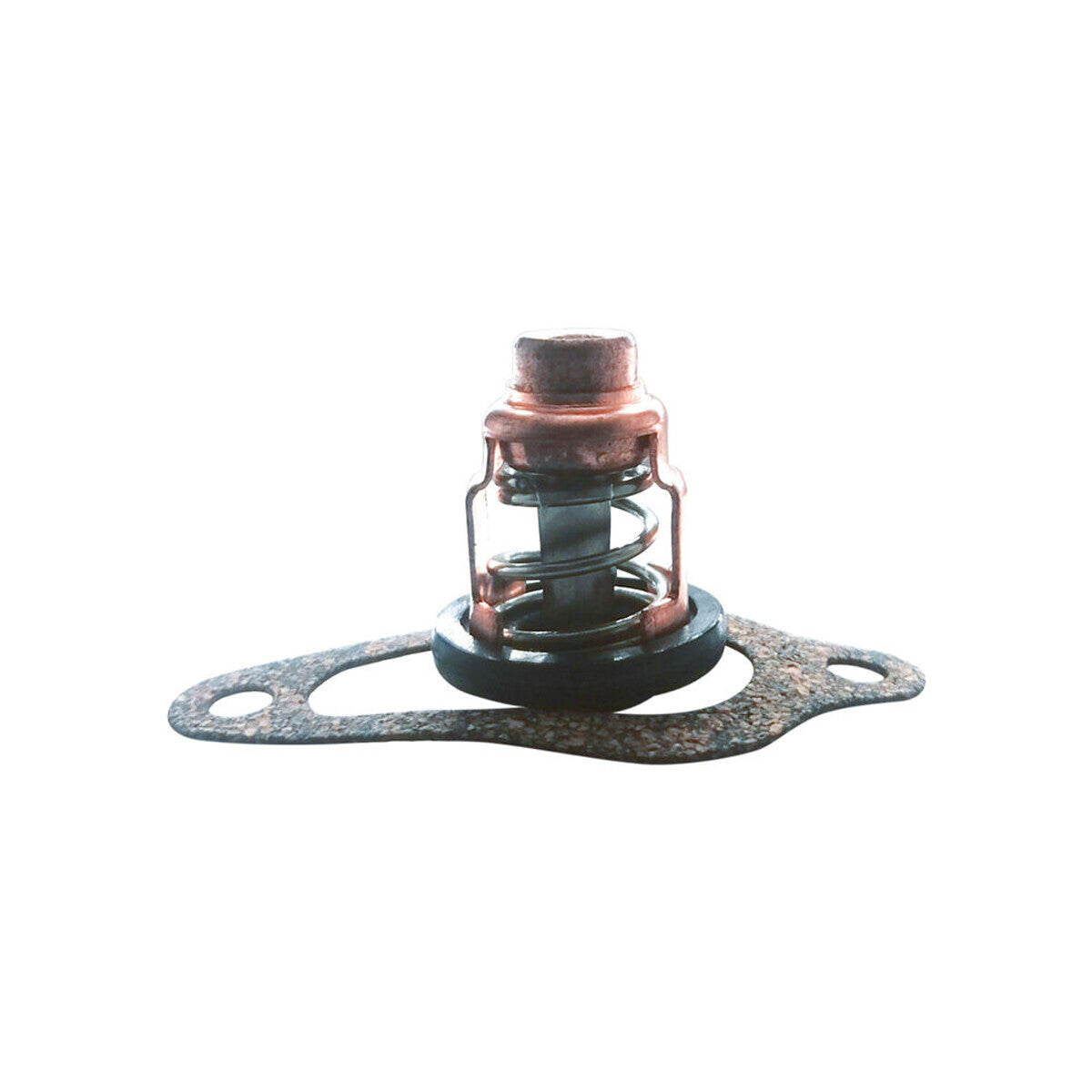 Thermostat & Gasket for Mercury 9.9 / 15 4 Stroke
