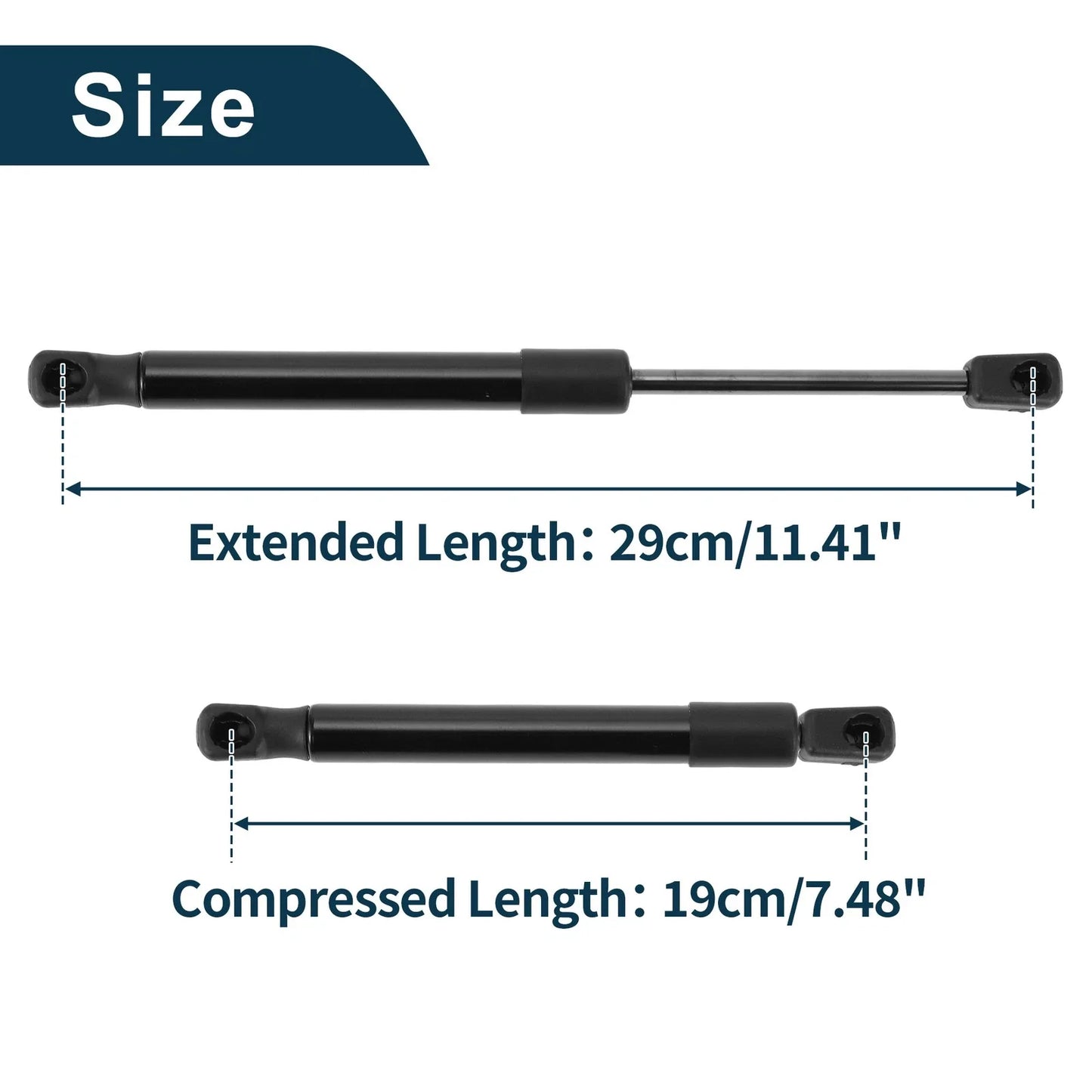 Rear Hatch Lift Supports for Dodge Challenger Coupe Without Spoiler (2008-2021)