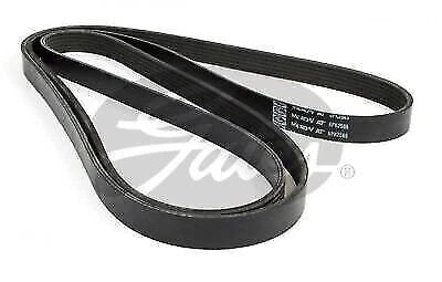 Drive Belt for Gates 6PK2565 (Fan Belt)