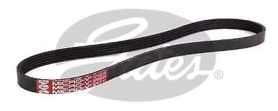 Drive Belt for Gates (5PK810)