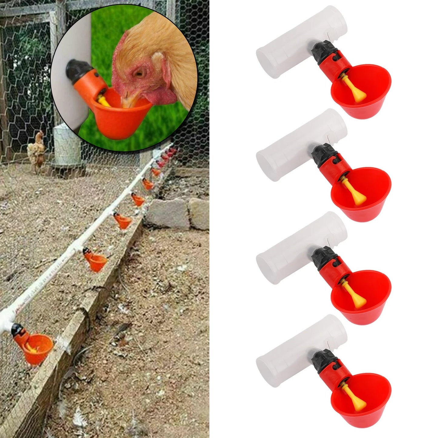 Set of 4 Automatic Water Drinker Cups for Poultry