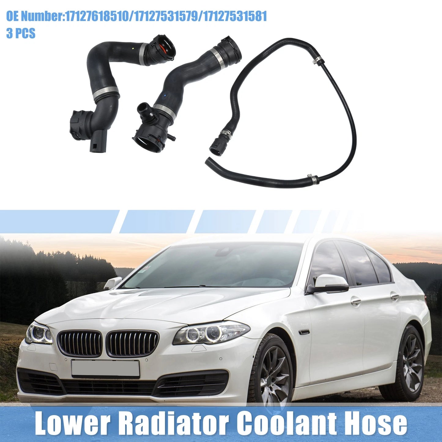 Lower Radiator Coolant Hose Kit No. 17127618510/17127531579 for BMW 325i (2006)