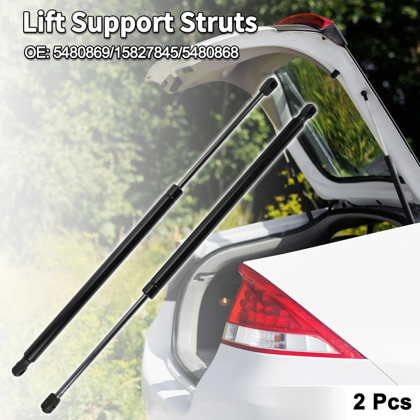 Rear Hatch Lift Supports for Chevrolet Equinox (2010-2017) - 2 x Struts