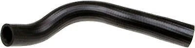 Radiator Hose for Gates (1983)
