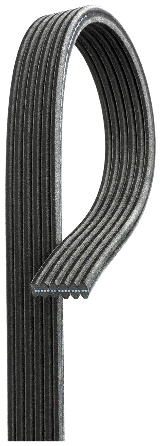 Drive Belt for Gates (6DPK1195)
