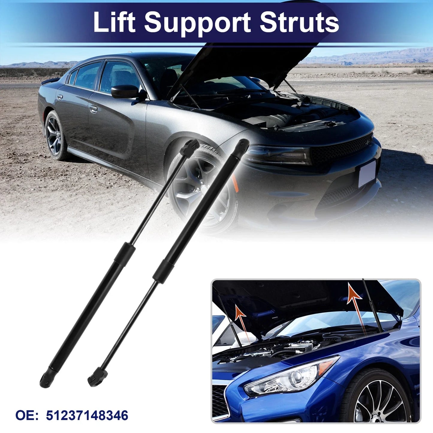 Tailgate Lift Support Struts Gas Spring for BMW X5 SUV (2007-2013)