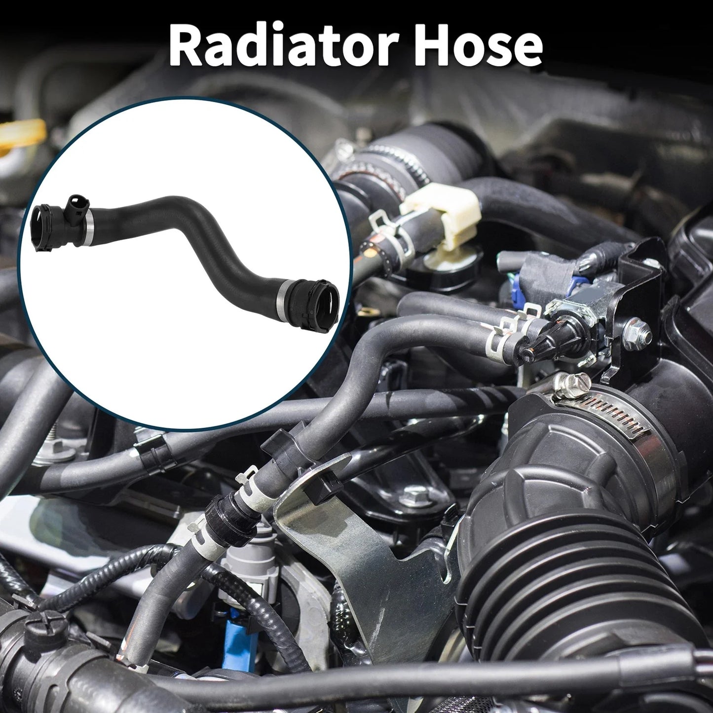 Radiator Hose for BMW X5 (2003-2006)