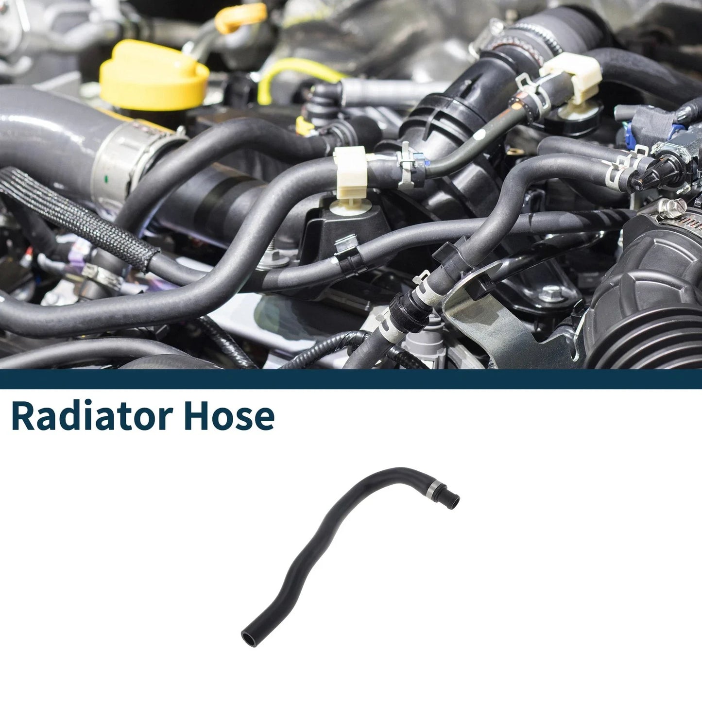 Radiator Hose for BMW 535i Base 3.0L (2011 - 2016)