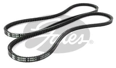 Set of 2 Fan Belts for Various Makes and Models
