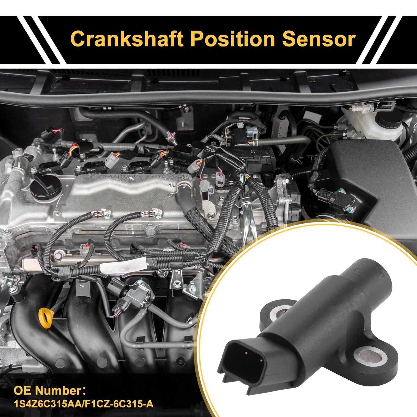1 Pc Crankshaft Position Sensor for Ford Focus (2000-2003)