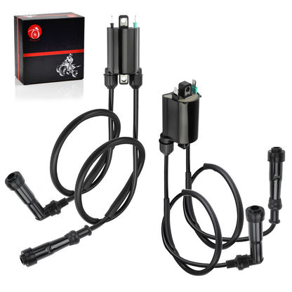 Ignition Coils and Wires for Honda Nighthawk 750 (1991–2003)